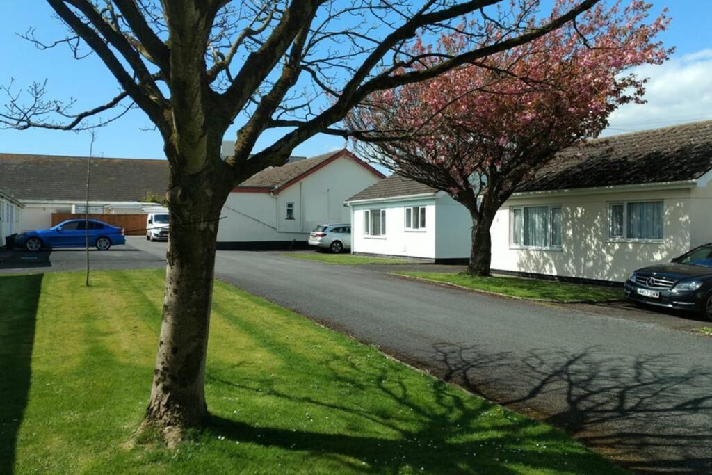 Vila Perfect For The Family And Beaches - Gower Cwtch Swansea Exteriér fotografie